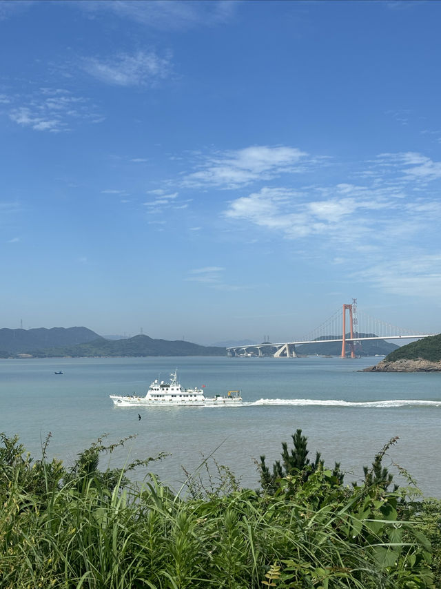 “觀海”逛公園該是天花板級別的存在了吧