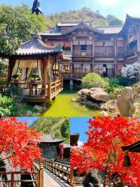 九泄潭蓮花樓：影視劇拍攝地的打卡攻略