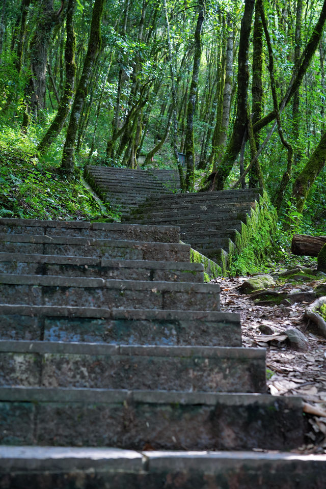 大理小眾旅拍絕佳勝地|巍寶山