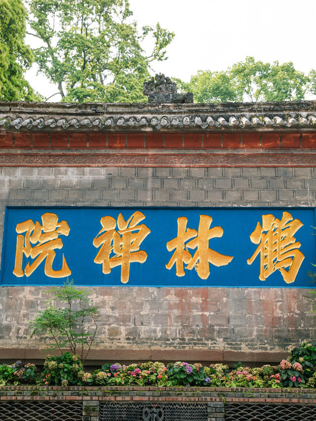 比起青城山，我更愛成都這個小眾徒步地