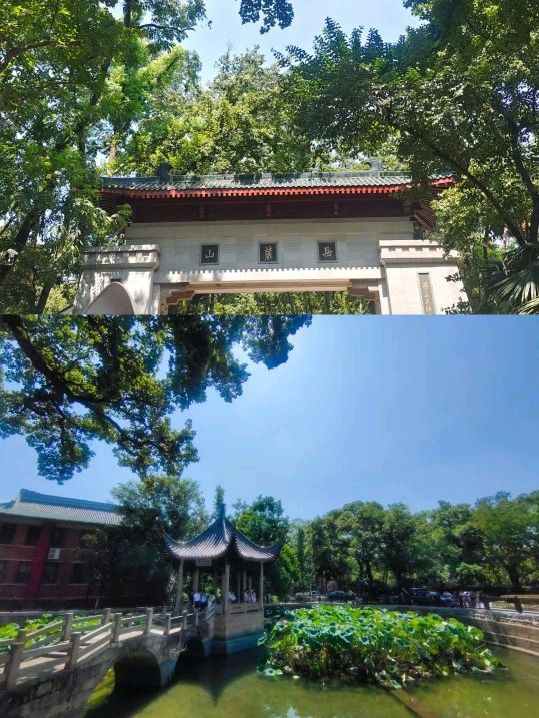 絕不踩雷，長沙行程看這個就可以了！