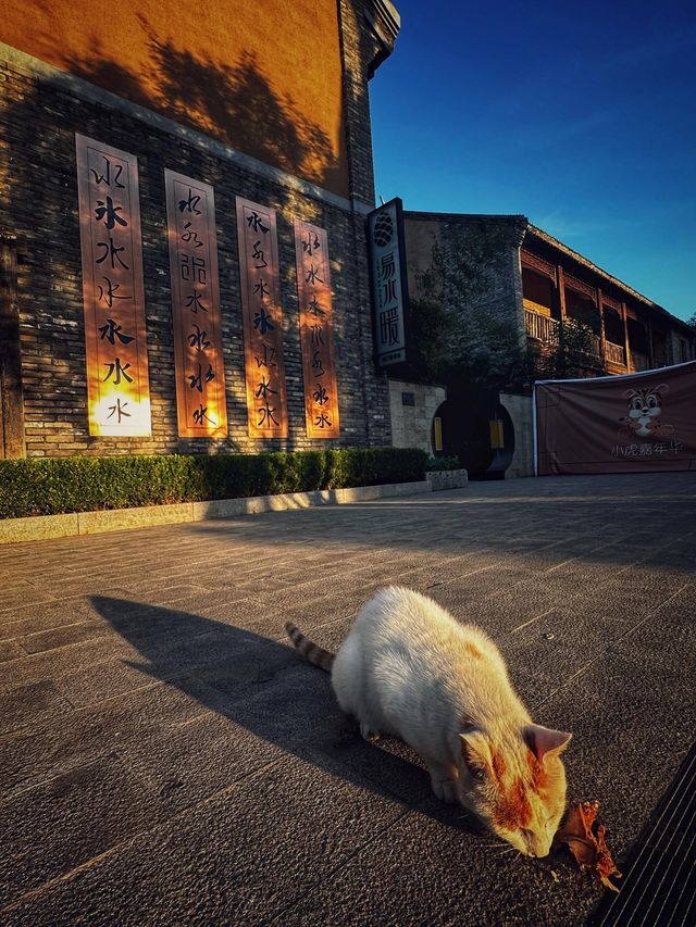太行水鎮。
