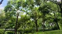 深圳向日葵公園·青綠&清幽。