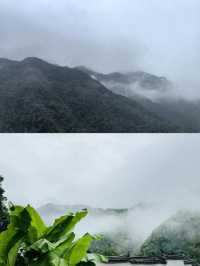 承包松陽古村雲海!700米山谷間的原舍揽樹。