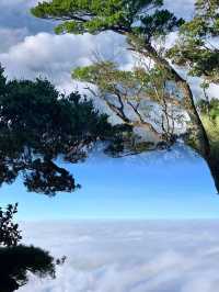 唔去過五指山就算未去過海南。