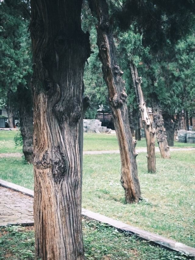 景點推薦打卡：洛陽關林廟。