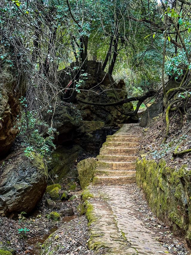 雲南昆明青龍峽丨體驗徒步旅行的快樂。