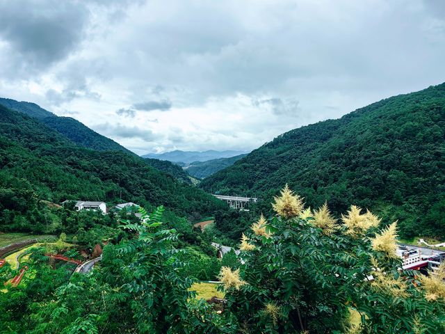 哀牢山谷‧無量景東！。