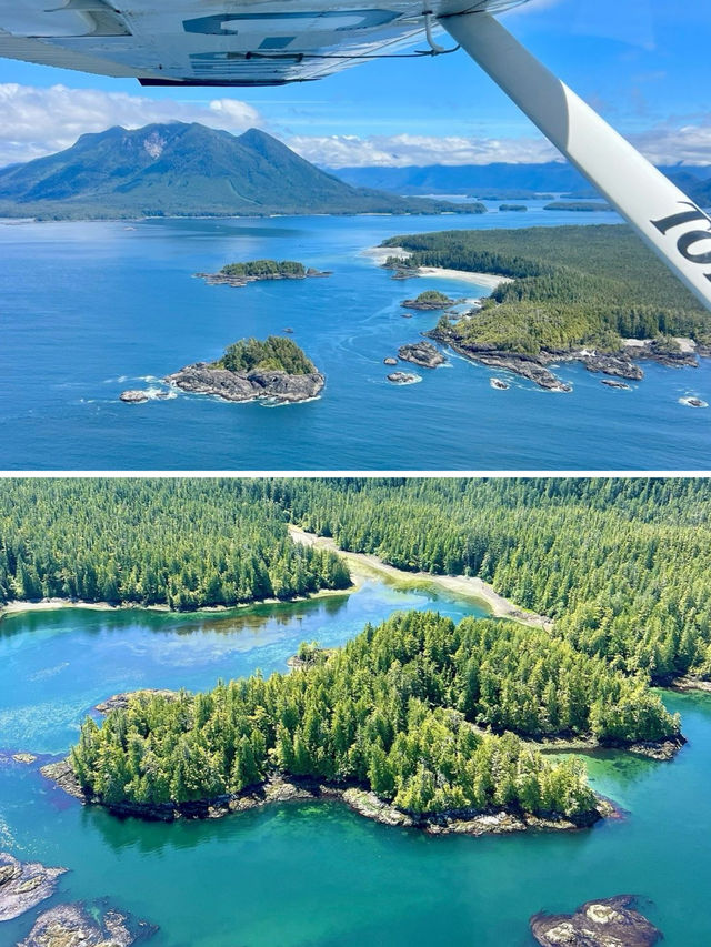 溫哥華出海觀鯨首推地點，一定是太平洋外海的 Tofino 托菲諾。