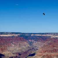 Grand Canyon National Park 