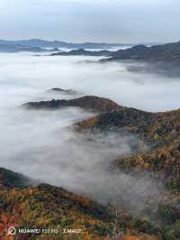 黑龍江伊春錯峰之旅。