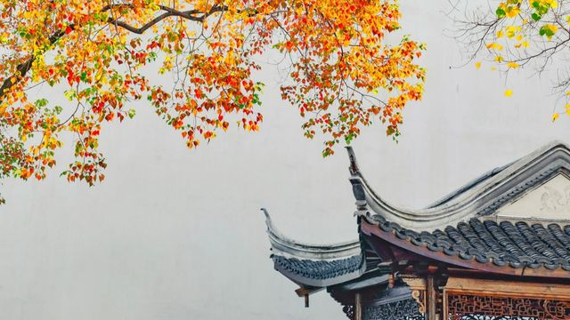 我誇南京一萬遍，不及你來看一眼。