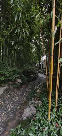 【遊園記】青浦曲水園：桂花香裡古樸園林的朝陽氣息…。