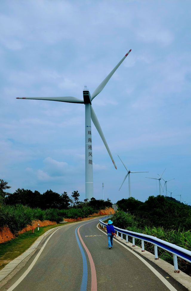 未來網紅路台州1號公路。