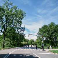 Central park Tour New york