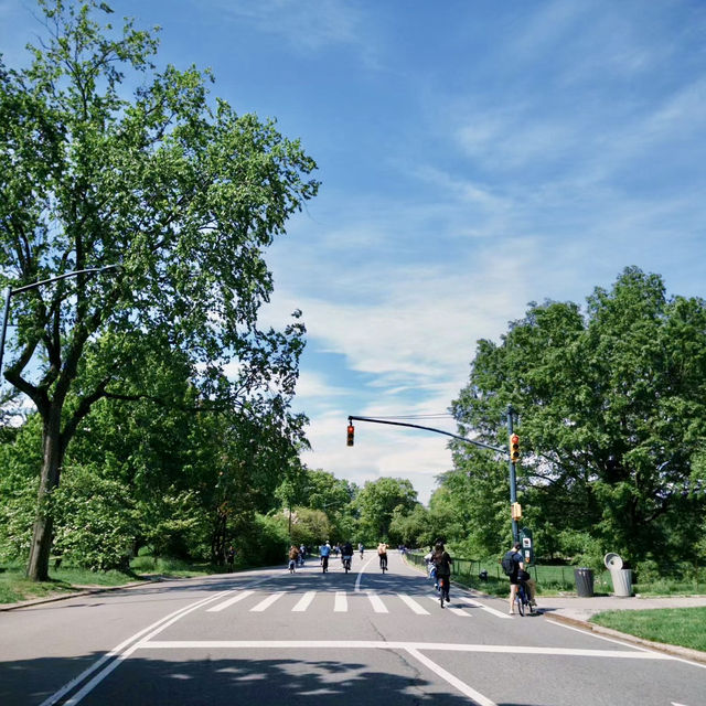 Central park Tour New york