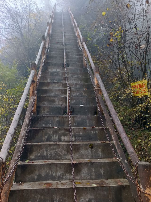 祥峪森林公園。