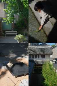 周末度假｜入住台州府城中古樸老宅。