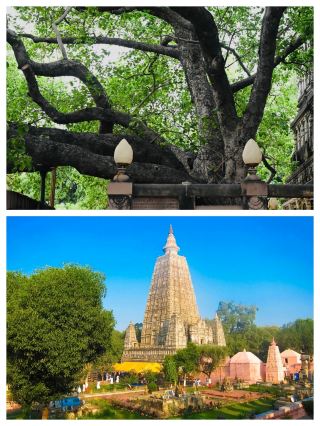 Explore Gaya, India, and unveil the mysteries of this Buddhist holy site. 