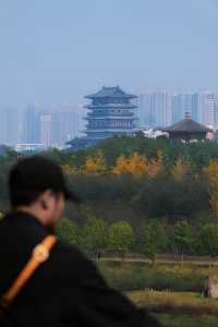 西流湖公園的這個秋天，一定可以美到你。