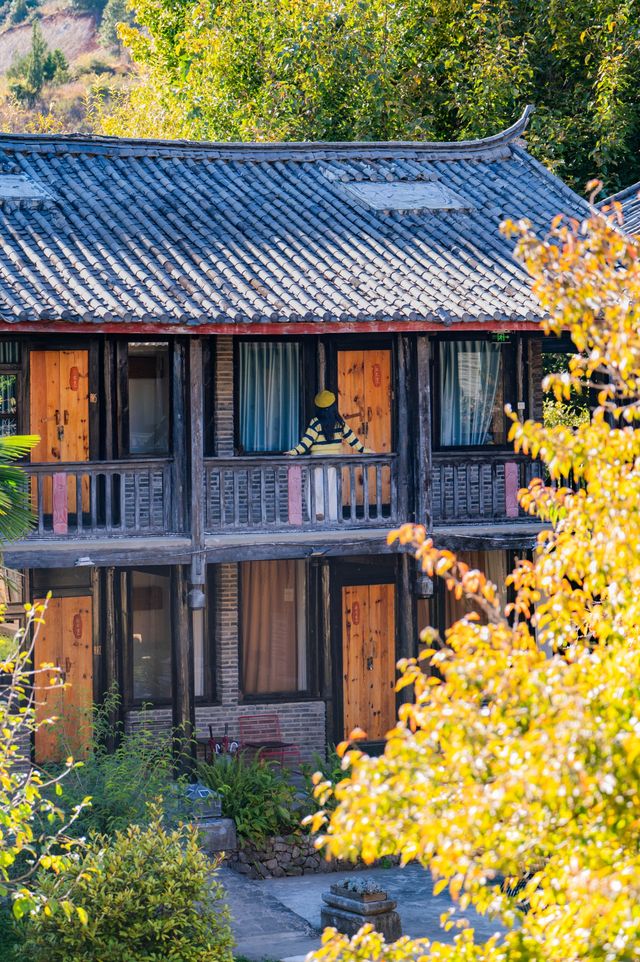 束河古鎮住進陽光滿溢的森林大院。