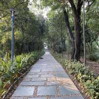 🌳 Longcheng Park 🌳