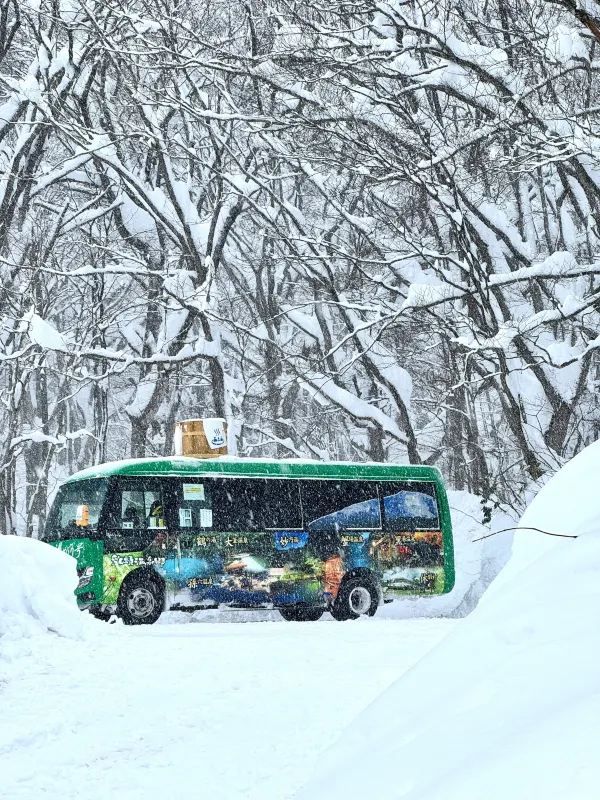 Experience the Enchanting Snowy Wonderland of Japan