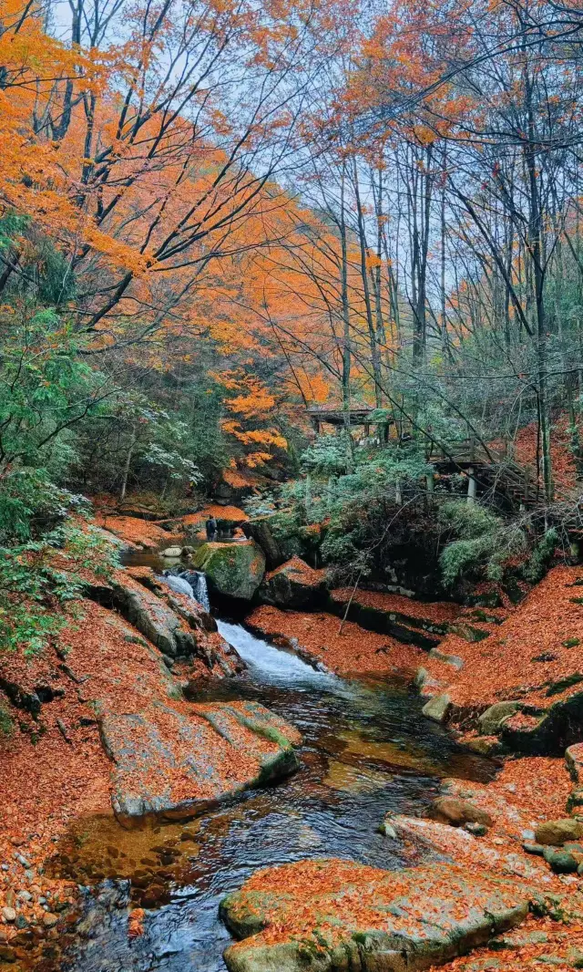 A Super Detailed Guide to Guangwu Mountain | Enjoy the Red Leaves to the Fullest