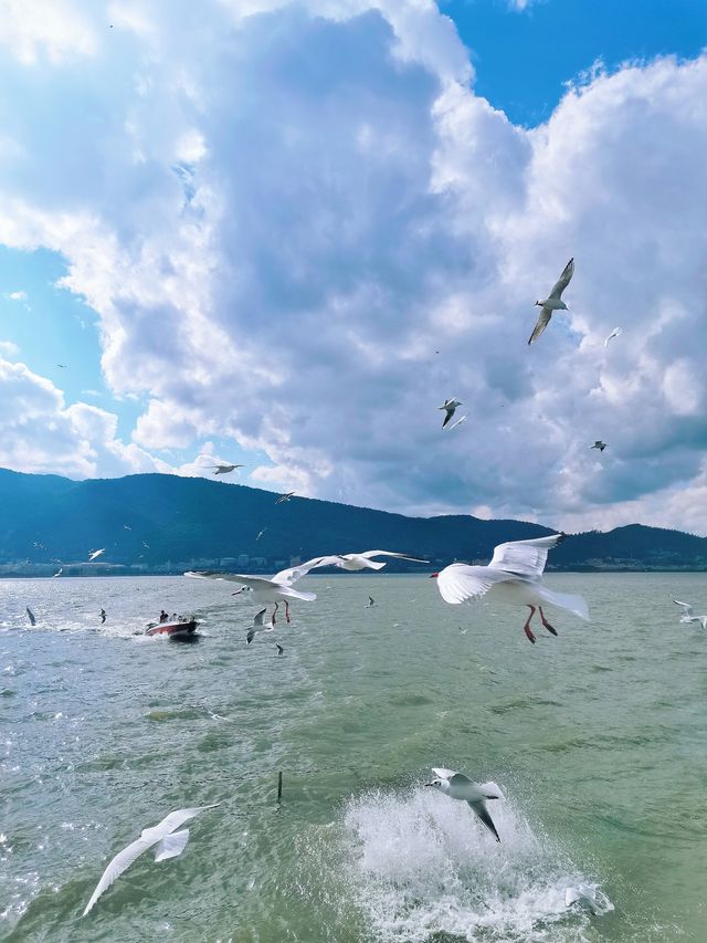 昆明酒店 | 雲南旅遊住過最貼心的地方。
