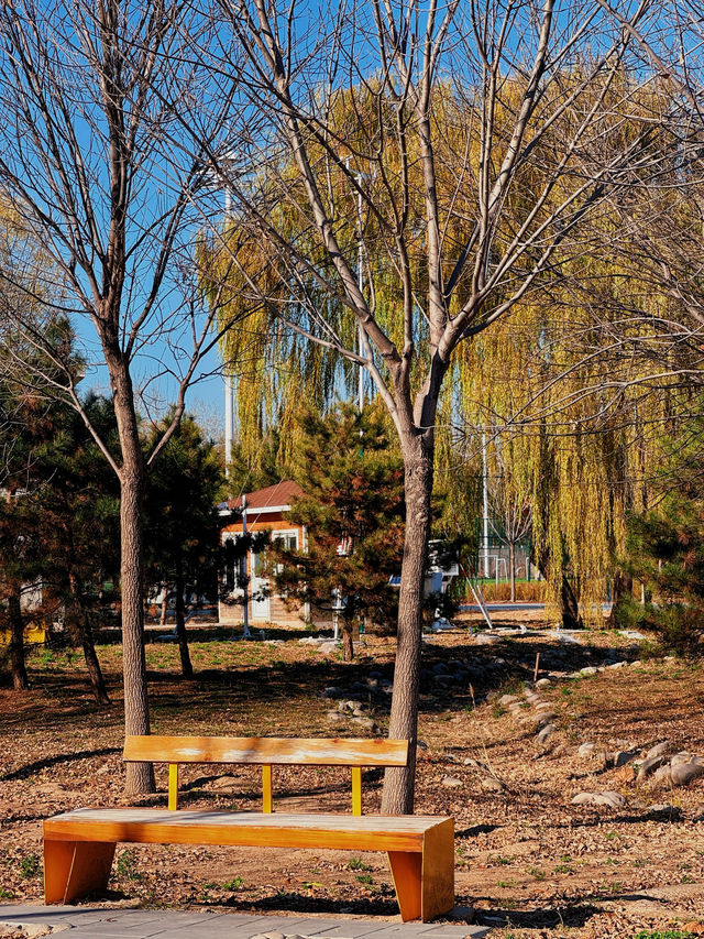 北京秋日遊園記 33｜南苑森林公園。