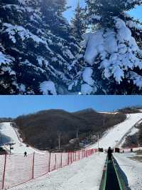 延吉滑雪‖夢都美滑雪場打卡避坑攻略