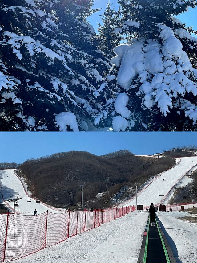 延吉滑雪‖夢都美滑雪場打卡避坑攻略