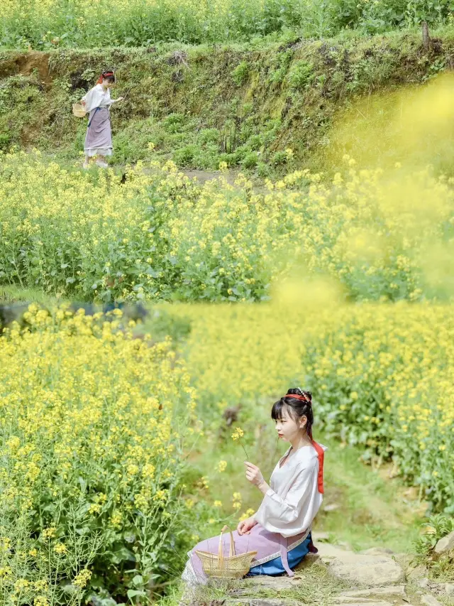 꽃구경 공략 꼭 우위안에서 유채꽃을 봐야 해요~