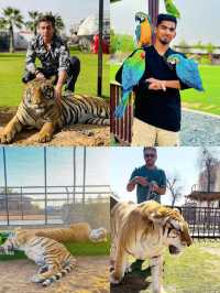 敢不敢來迪拜野生動物園逛逛
