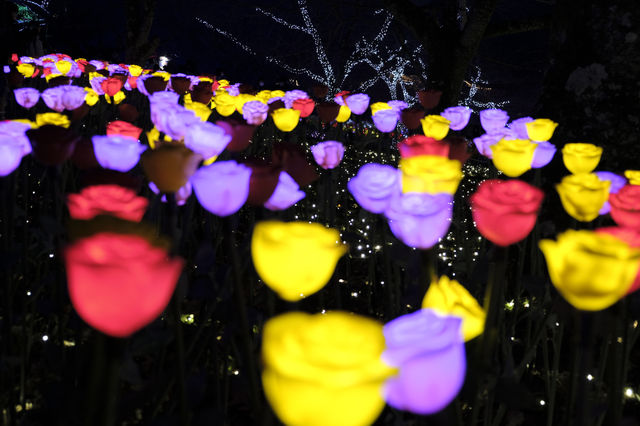 Travel Guide: Sagamihara Lake Light Show - A Romantic Destination?