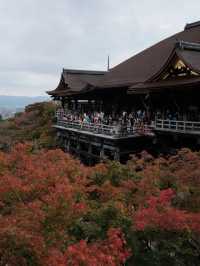 4日親子遊日本超實用攻略來啦