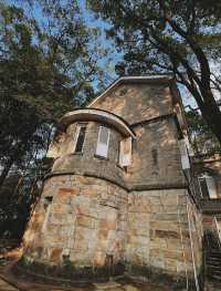 南岸秘密花園——重慶南山植物園