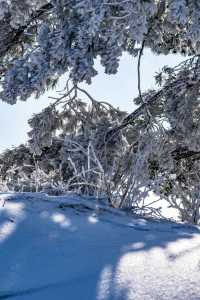杭州牽牛崗徒步 霧凇 雪 雲海