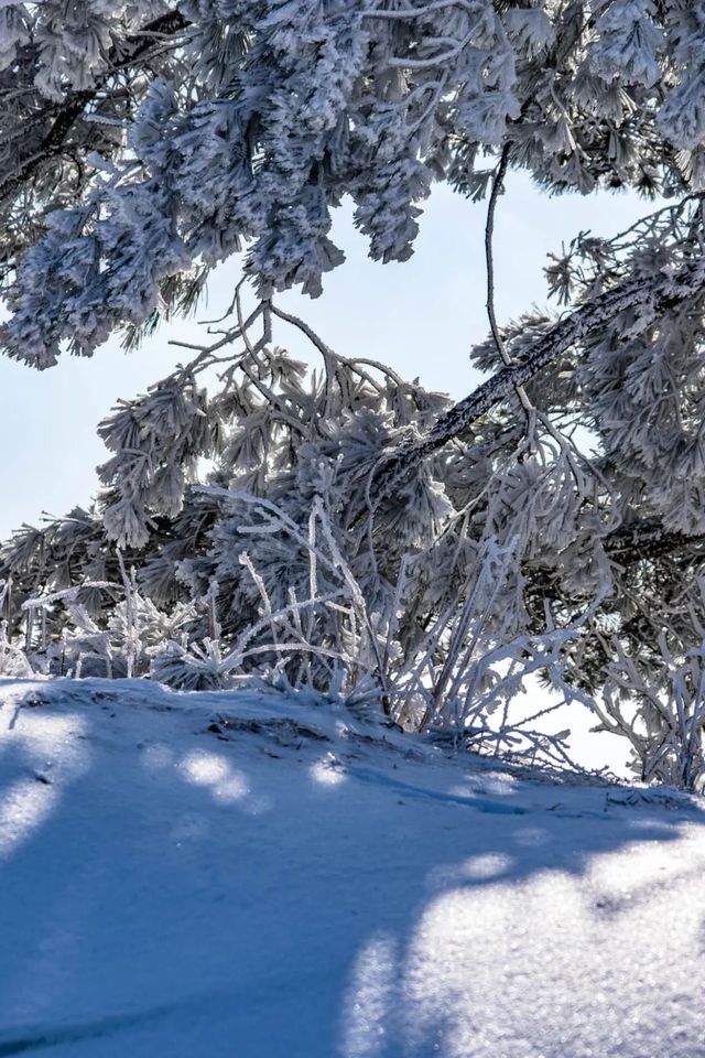 杭州牽牛崗徒步 霧凇 雪 雲海