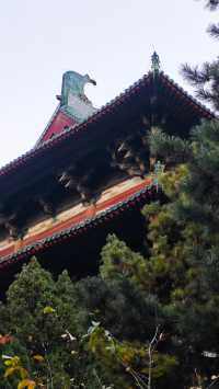 石家莊正定隆興寺 | 千年古剎的心靈之旅