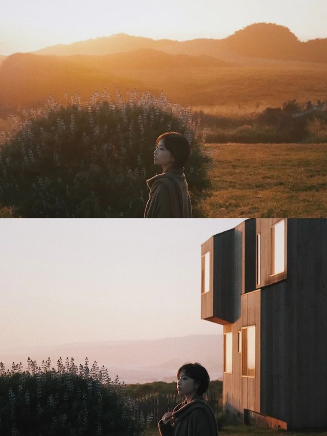 The Sea Ranch Lodge 冷峻海岸與霧靄秘境