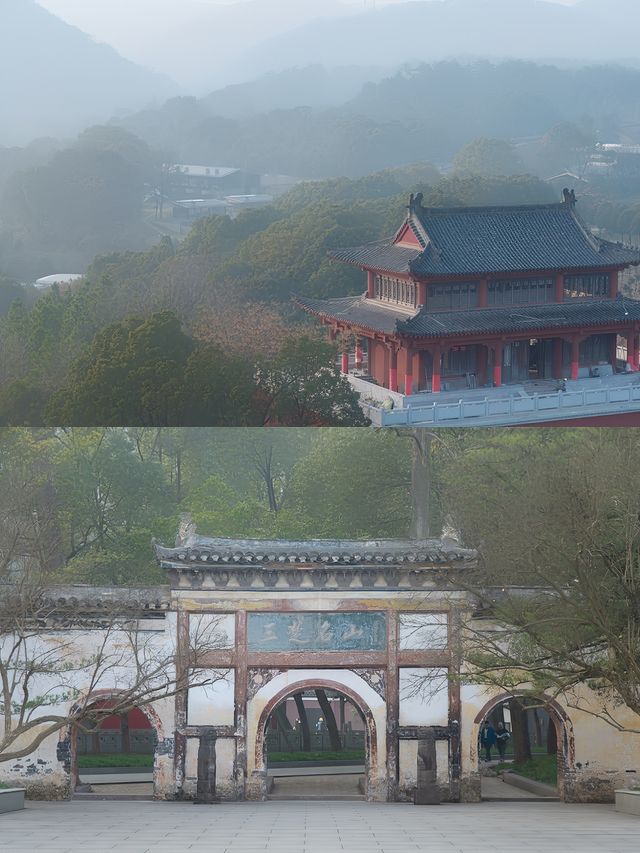 療癒系度假，當陽必住嘅禪意民宿