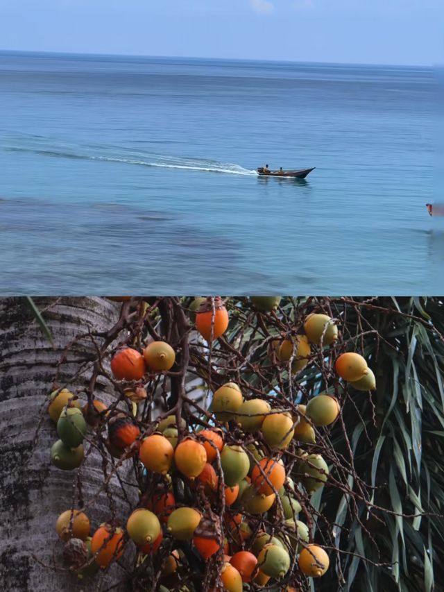 停泊島｜我要推薦給所有去瓜拉丁加奴的人！