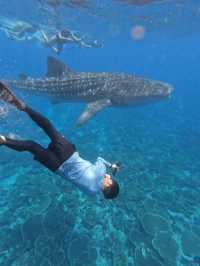 The Ultimate Maldives (Velaa Private Island) Guide + Tips