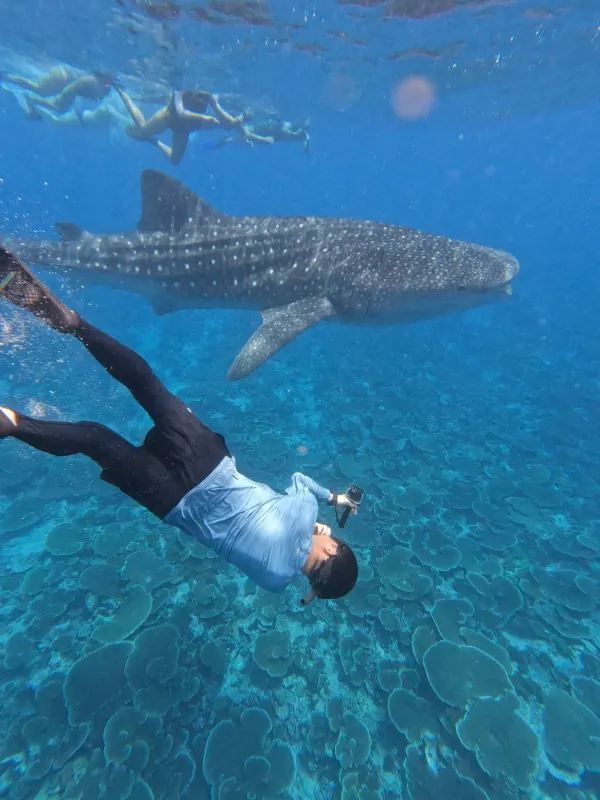 The Ultimate Maldives (Velaa Private Island) Guide + Tips