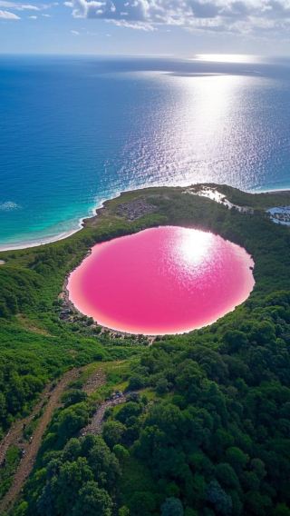 Stunning! Pink lake, blue sea, and sky, a feast for the eyes!