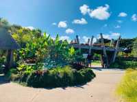 Auckland Botanic Gardens: A Scenic Escape