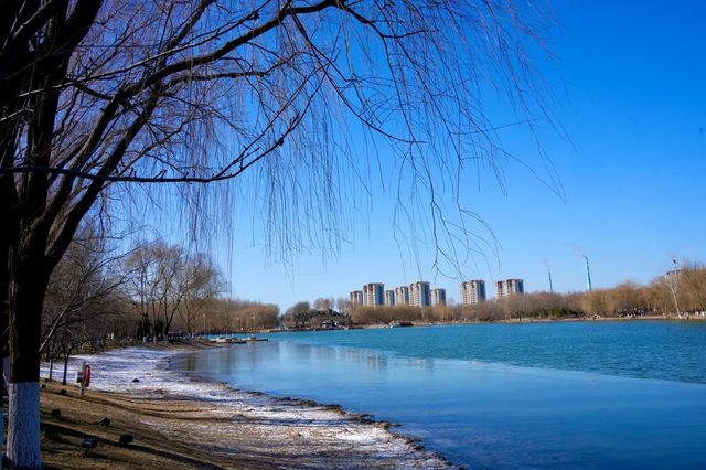 石家莊的一隻雞—河北省園博園遛圈記 石家莊的一隻雞—河北省園博園遛圈記