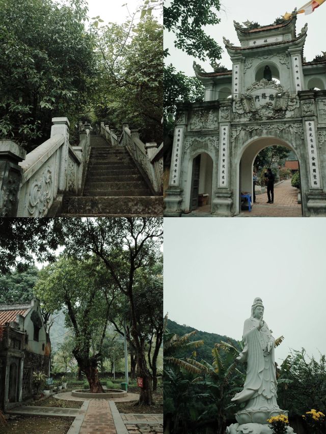 寧平：越南的隱秘瑰寶