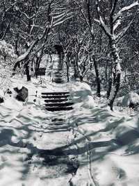 奔赴鄭州，只為一場「嵩山」之約